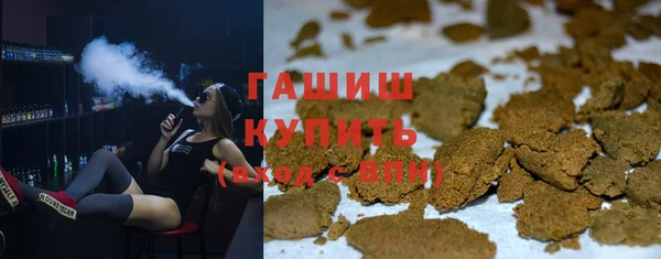 прущие грибы Корсаков