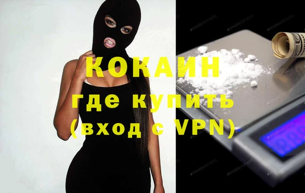 прущие грибы Корсаков