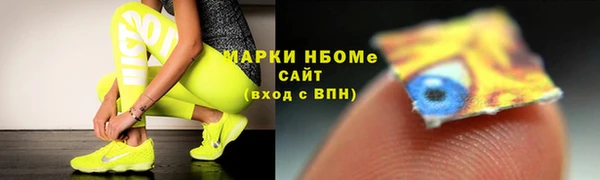 прущие грибы Корсаков
