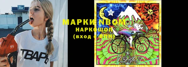 прущие грибы Корсаков