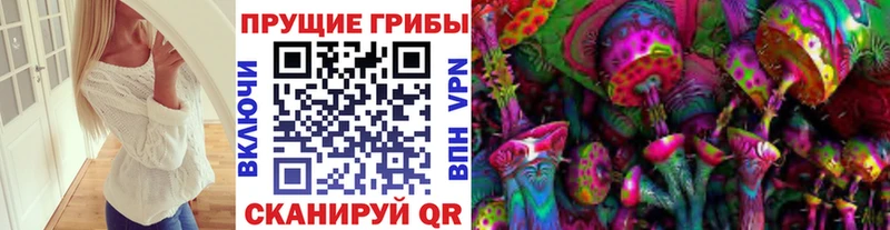 Псилоцибиновые грибы мухоморы  наркотики  Сурск 