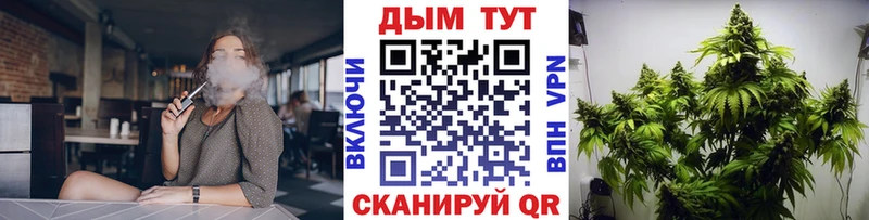 kraken ТОР  Сурск  Конопля гибрид 